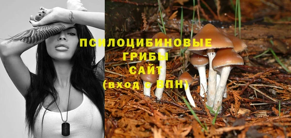 мяу мяу кристалл Богородицк